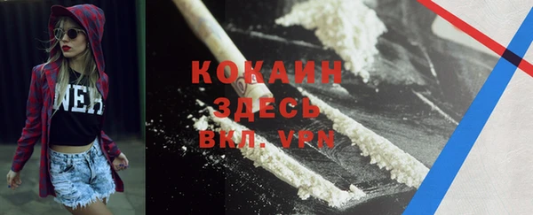индика Касимов