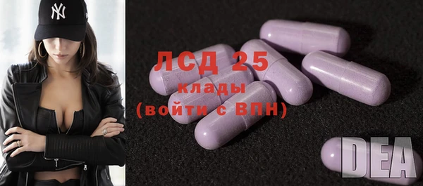 индика Касимов