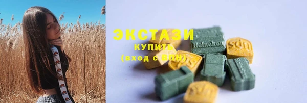 индика Касимов