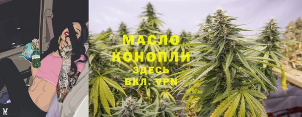 индика Касимов