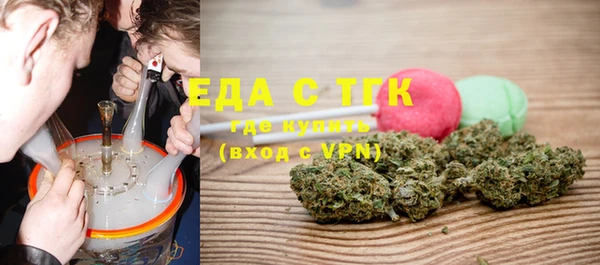 индика Касимов