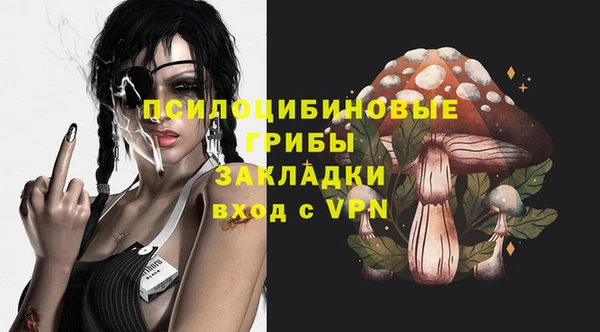 спайс Карпинск