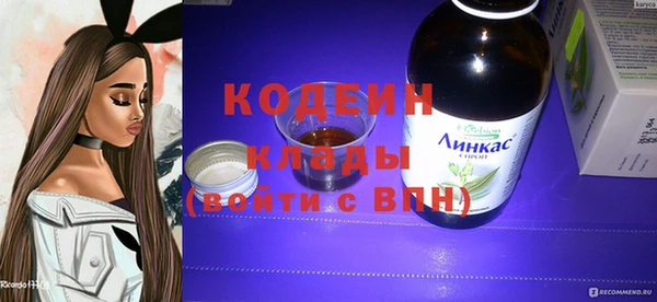 индика Касимов