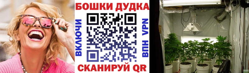 Купить закладки  Галич  Бошки марихуана THC 21% 